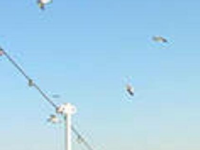 wɂāBbcE^C^jbNI_THE KOBECRUISE R`Fg