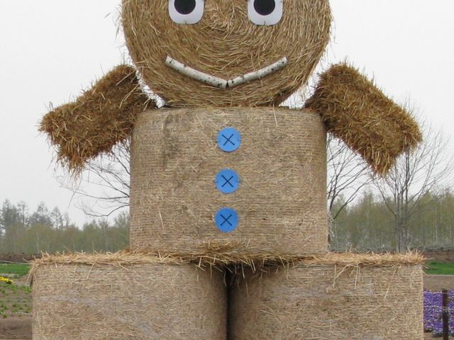 ���l���y�l�G�ʂ̋u�z�q�����[���l�` �h���[���N�h_�l�G�ʂ̋u