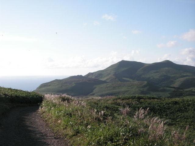 �����H�ł�_�當�ѓ�