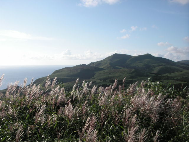 �X�X�L���L�����Ă܂�_�當�ѓ�