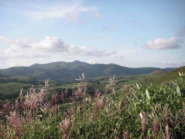 cOȂ當̉Ԃ͂炢Ă܂_當ѓ