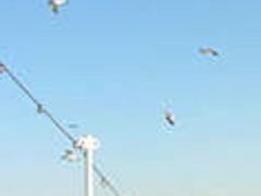 ~b`THE KOBECRUISE R`Fgւ̓eʐ^3