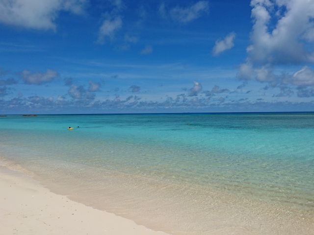 �j�V�l_�g�Ɗԓ�