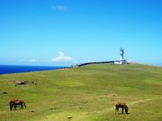 ��������񂳂�̓���W�]��̓��e�ʐ^2