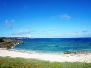 ��������񂳂�̃_���k�l�̓��e�ʐ^3