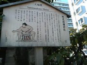 �܂��ǂ���̖쌩�h�H�_�Ђ̓��e�ʐ^1