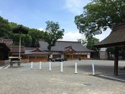 Vg̔卑_Ёi{{j̓eʐ^2