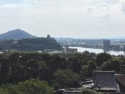 Vg̑{RcRÉʉ@吹̓eʐ^5