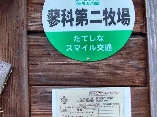 ���ȑ��q��_���ȑ��q��