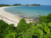 minami����̓���l�C������̓��e�ʐ^1