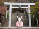 しどーさんの桃太郎神社の投稿写真1