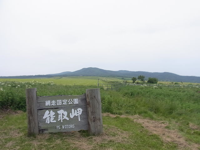 �L����q��_�\�斦�C��