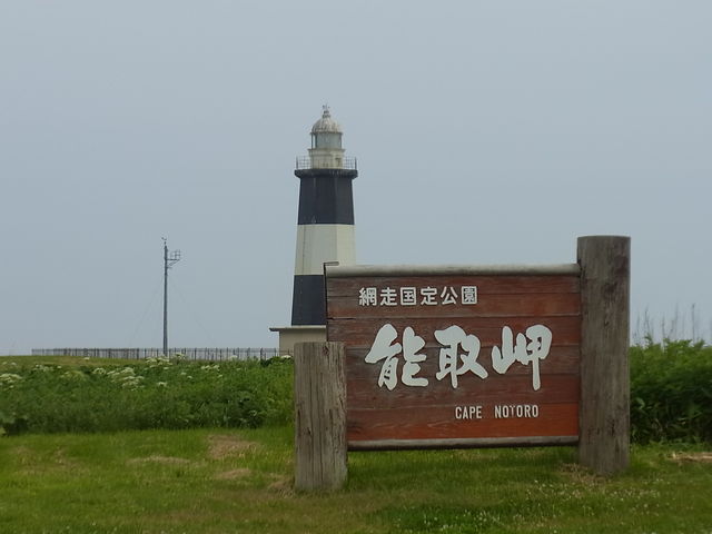 ����_�\�斦�C��