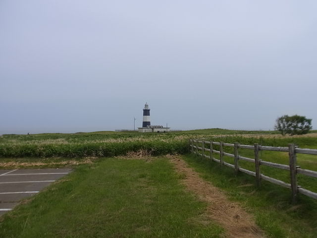 �q��킫�̗V�������瓔��_�\�斦�C��