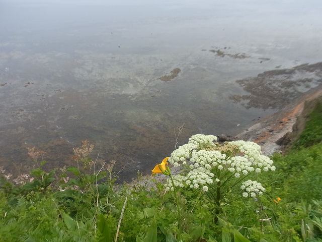 �����܂Ō�����C_�\�斦�C��