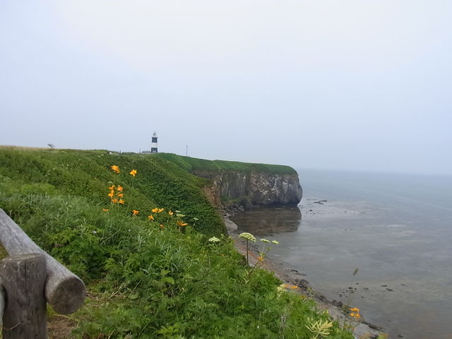 �ԂƓ���_�\�斦�C��