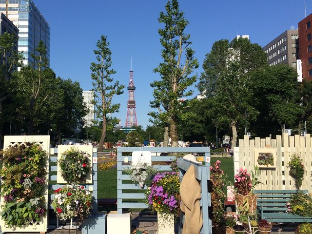 �e���̌���_��ʌ���