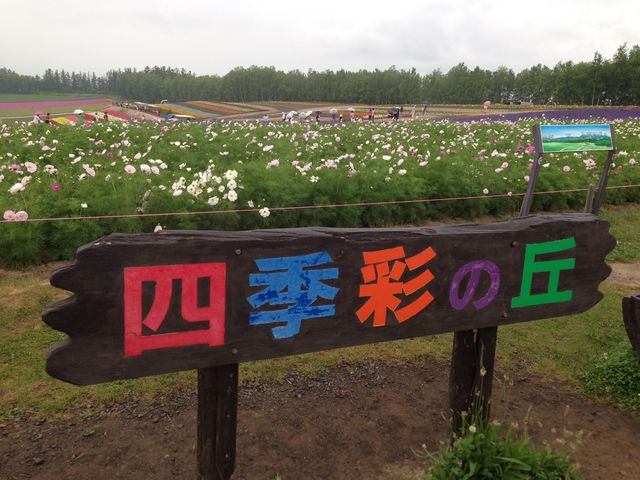 �R�X���X_�l�G�ʂ̋u