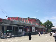 W̐MBc^cۑ̓h}قւ̓eʐ^1