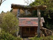 ҂̂܂񂪐_Ђ̓eʐ^1