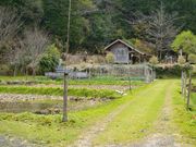 ҂̂܂񂪐_Ђ̓eʐ^3