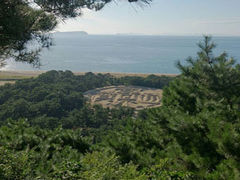 ˂邳̑K`Guiʕvւ̓eʐ^1