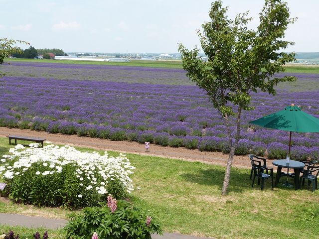 �x�c�t�@�[���E���x���_�[�C�[�X�g_���x���_�[��