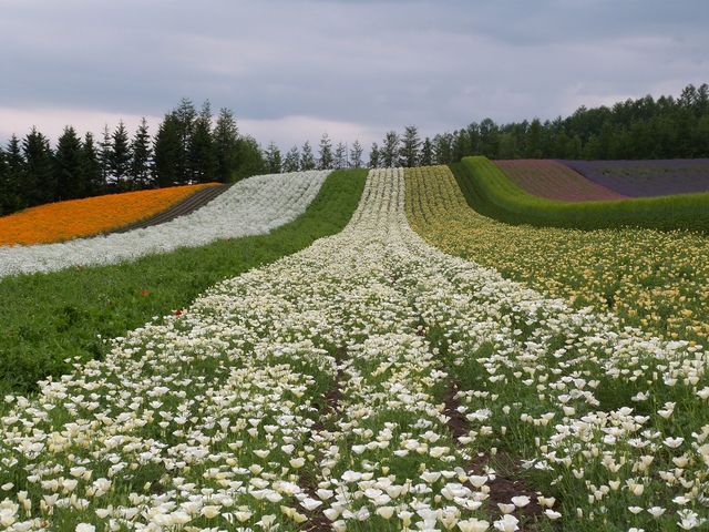 �x�c�t�@�[��_���x���_�[��