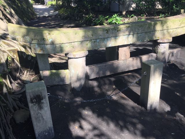 ����_���_���v����