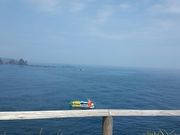 ɂ񂽂񂳂̌F_Ђ̓eʐ^1