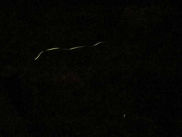 ���R�ȓ����̃z�^��_�Ȕ�����