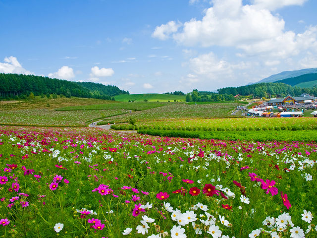 太陽の丘えんがる公園 Japaneseclass Jp