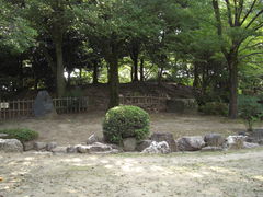 �߂��ڂڂ���̔��������ւ̓��e�ʐ^1