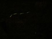 �Ƃ�����񂳂�̓Ȕ�����̓��e�ʐ^1