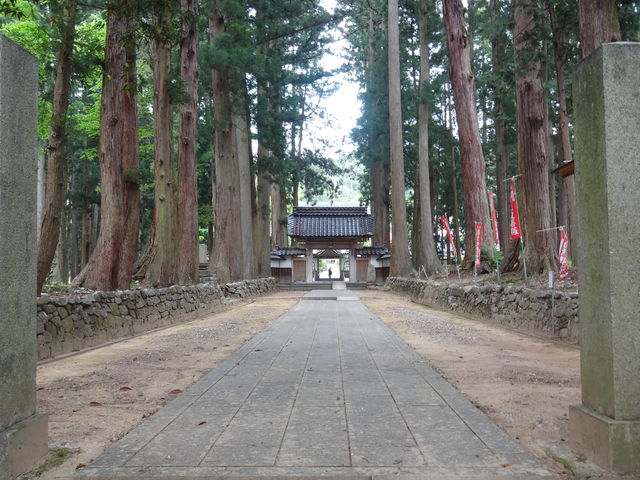 ��ڎR���R���i�ʏ̂������̂Ă�j_��ڎR���R���i�ʏ̂������̂Ă�j