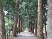 ǁ[̊ڎRRQ̕؂̓eʐ^1