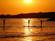 ݂ǂ肳̒q}[iC̓eʐ^1