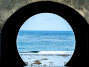 Hiro����̃_���k�l�̓��e�ʐ^1