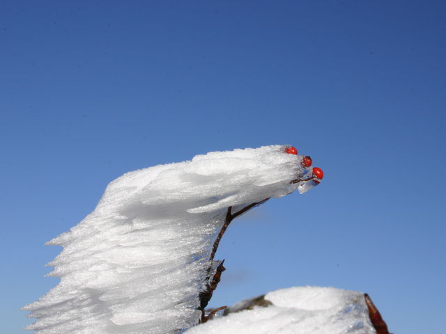 �G�r�̐K��_�J��x�E�Αq�V���o�R��