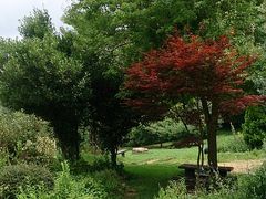 ܂Ԃ񂳂̋|qւ̓eʐ^1