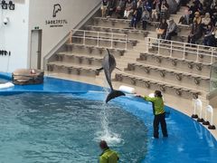 ݁[傳̐䂤݂̓mقւ̓eʐ^1