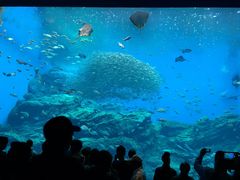 ݁[傳̐䂤݂̓mقւ̓eʐ^2