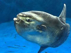 ݁[傳̐䂤݂̓mقւ̓eʐ^3