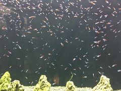 ݁[傳̐䂤݂̓mقւ̓eʐ^4