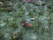 pontâQPI̐X̓eʐ^2