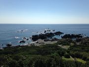 n[̎ːElXRWIp[N̓eʐ^1