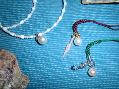 Ё[܂񂳂̐^삾̌@a{^Xւ̓eʐ^1