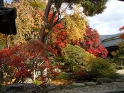 w-masa̍̊ف@c{Ɣق̓eʐ^2