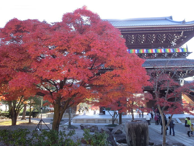 �g�t�ƎR��_����������