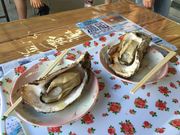 Ƃ悭񂳂̓̉w  ̓eʐ^2